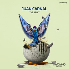 Juan Carnal - High Status (Original Mix)