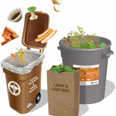 Brooklyn Cursbside Composting Audio Story