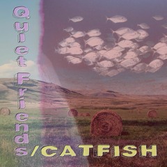 Quiet Friends/ Catfish