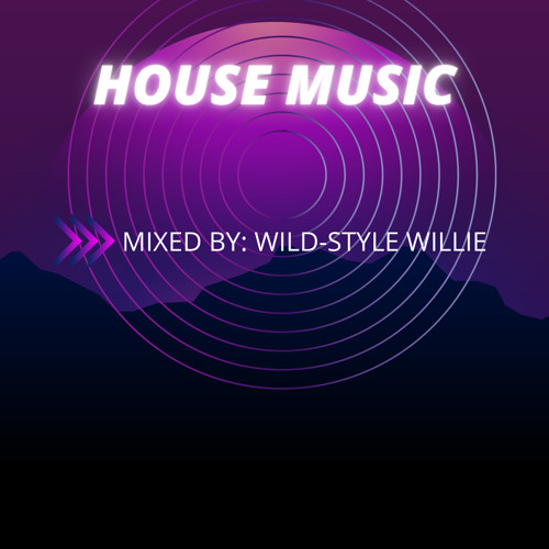 Stream WSE House Music Mix by DJ WildStyle Willie Listen online for