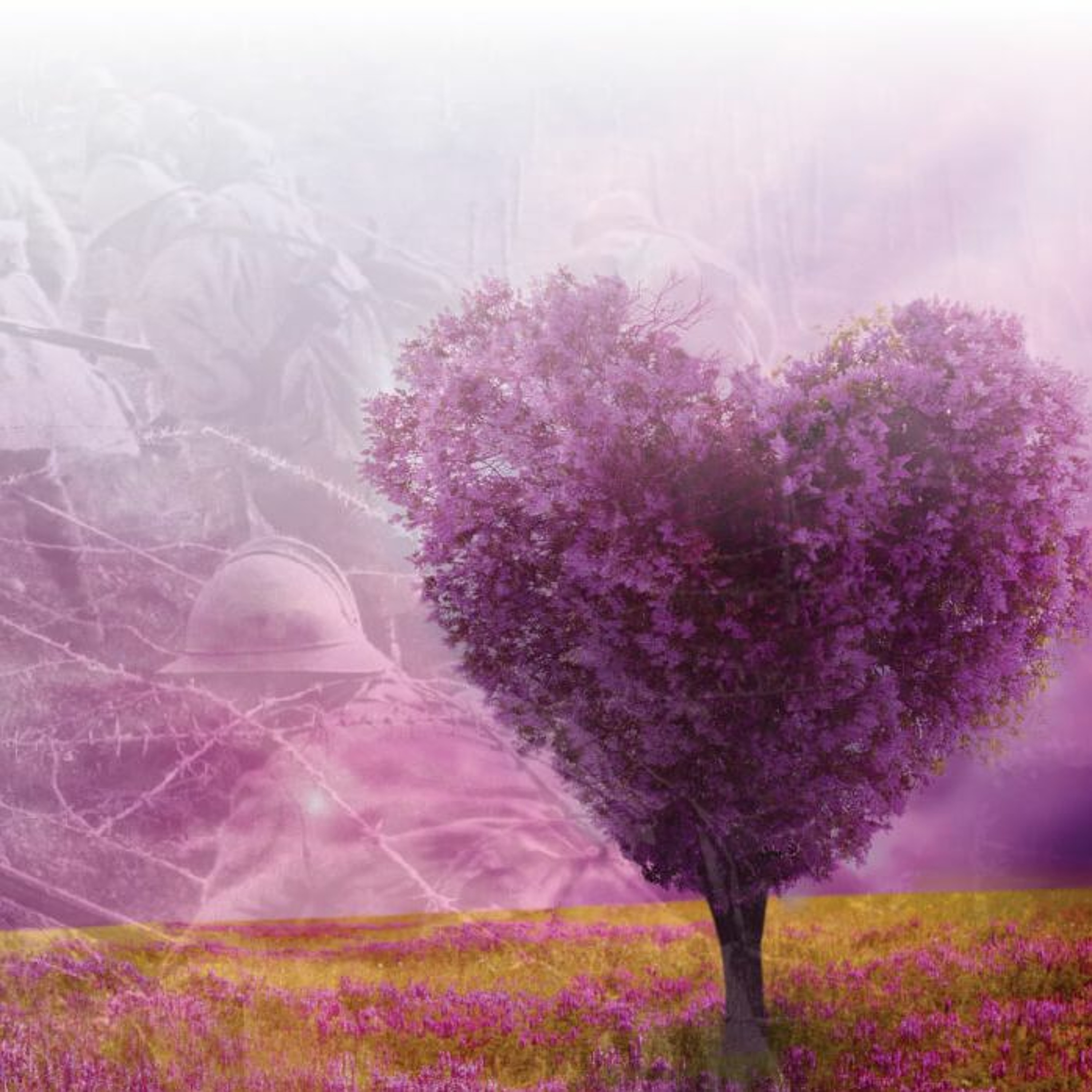 Reflection - Love your enemies episode artwork