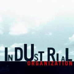 Book [PDF]  Industrial Organization: Theory and Applications