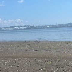 sulfur seasoned steak