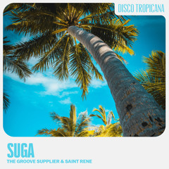Disco Tropicana 🌴  - nu disco, disco house & disco classics