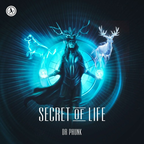 Dr Phunk - Secret Of Life