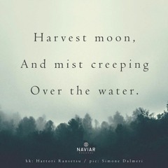 _naviarhaiku338