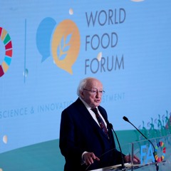 Opening Statement by President Higgins at the The World Food Forum, Rome