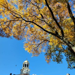 More of you (JP Saxe Cover)