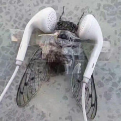 Cicada therapy