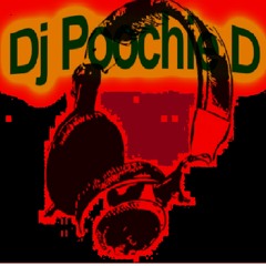 Dj Poochie D - In The Mix Summer Selections 2023