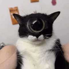 Termonuclear - Perfecto Miserable (cover jeje)