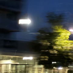 CD lagret