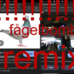 10_Cockhouse_Fågelbomb_(Krösus_Orkman_Remix).wav