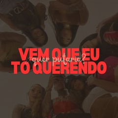 VEM QUE EU TO QUERENDO - MC's Magrinho, Mr Bim e Gw (DJ JUNIN DO CONCÓRDIA)