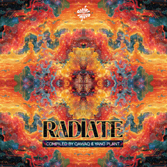 Yang Plant - Reality