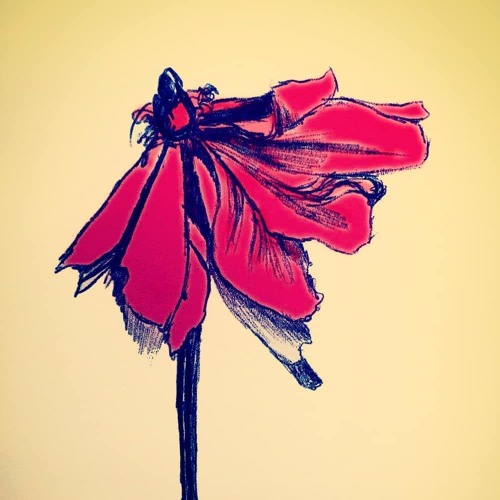 2018-10-22 Find What You Love And Let It Kill You