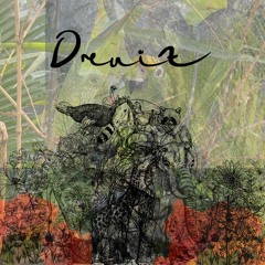 Druiz - A Donde (Fauna)