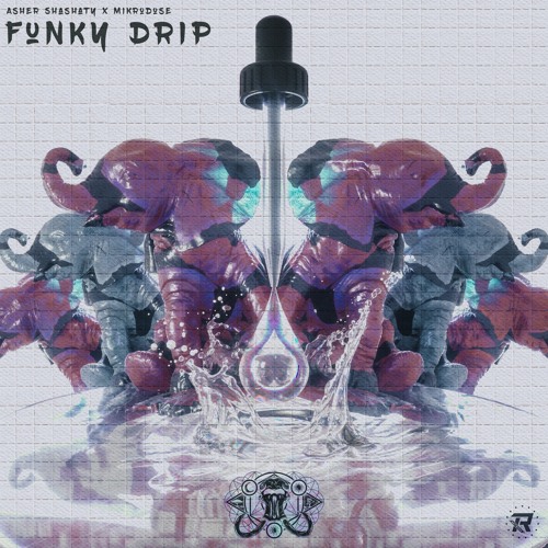 Asher Shashaty & M!krodose - Funky Drip