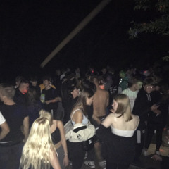 Techno Elements x evi - secret forest