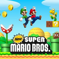 Castle Boss - New Super Mario Bros DS