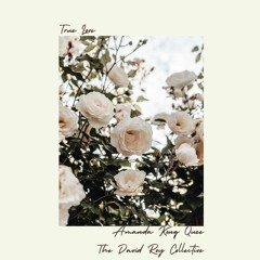 True Love - The David Roy Collective