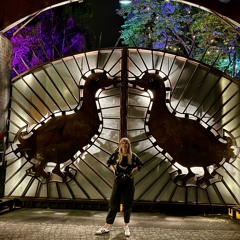 brahmski I sisyphos wintergarten I may 24