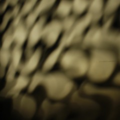 chleb, jajka, mleko, humus, papier toaletowy