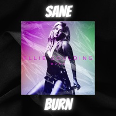 Ellie Goulding - Burn (SANE REMIX)
