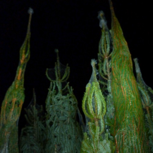 6 Nach Der Bescherung