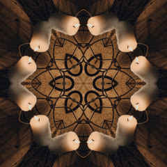 DMVU Lantern Bearer Parcae Remix