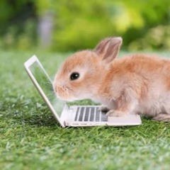 TRAMPOLINE TYPE BEAT