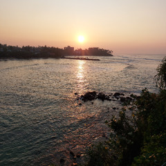 DJ Bushfunk - L'atin House Connection Vol.1