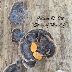 For A Moment Feel Life