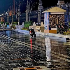 خسارة بوسى
