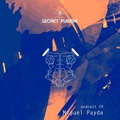 Secret Fusion Podcast Nr.: 29 - Miguel Payda