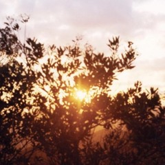 late summer