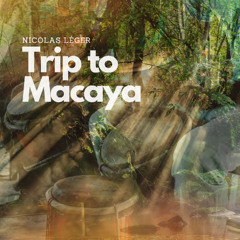 Nicolas Léger - Trip to Macaya (Original Mix)