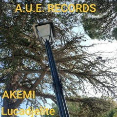 Lucadjelite - Akemi ( Original Mix)