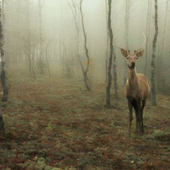 fuck everything prod. me