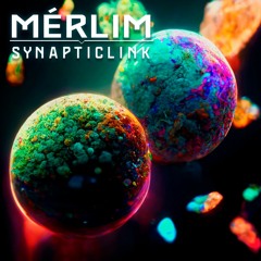 MÉRLIM - SYNAPTIC LINK