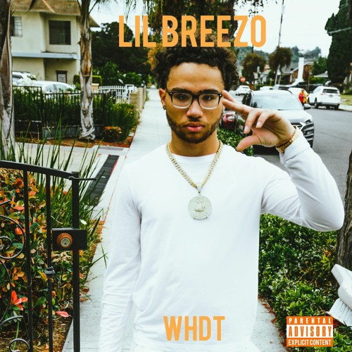 Stream Lil Breezo - Why He Do That by Lil Breezo | Listen online for ...