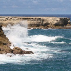 House Summer Vibes 2025