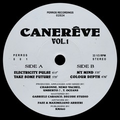 CANERÊVE VOL.1 (PERROS 001) / Snippets