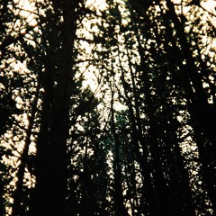 blinded soldier (demo)