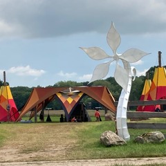 Psychedelic Experience festival 2024 alternative stage