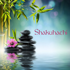 Stream Japanese Traditional Music: Shamisen and Songs