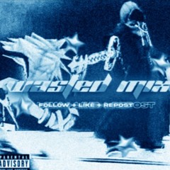 Wasted - #SHELUVTHT (ximist mix)