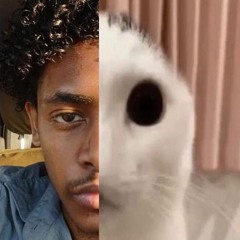 aux