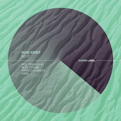 PREMIERE: Roie Krief - Do It (NonCitizens Remix) [Dushe Label]