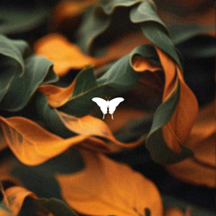 Dexx (ofc) - Betrayal  (Patrick Podage Remix)